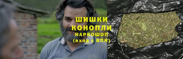 молекула духа Инсар