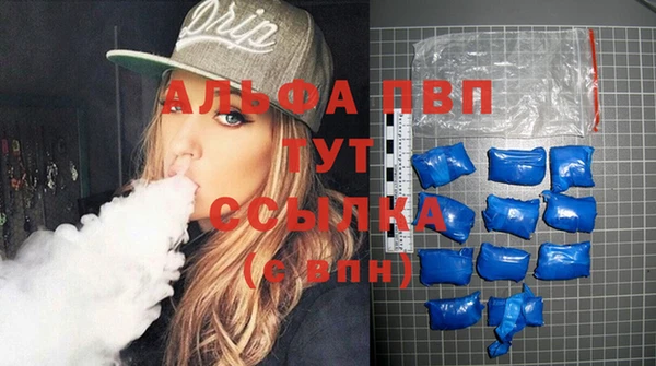 эйфоретик Иннополис
