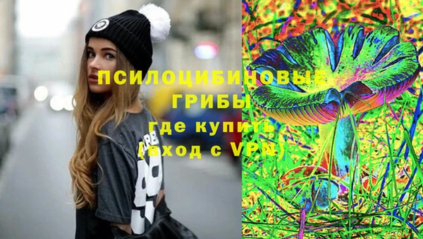 эйфоретик Иннополис