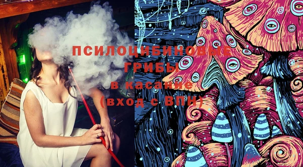 кокс Инта