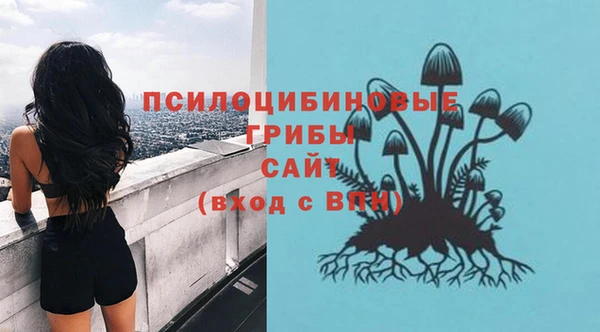 молекула духа Инсар