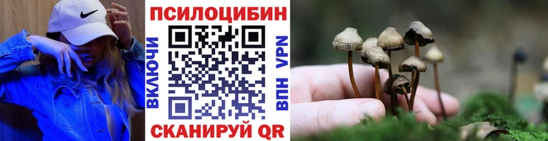 Купить  Кузнецк  Псилоцибиновые грибы Psilocybine cubensis 